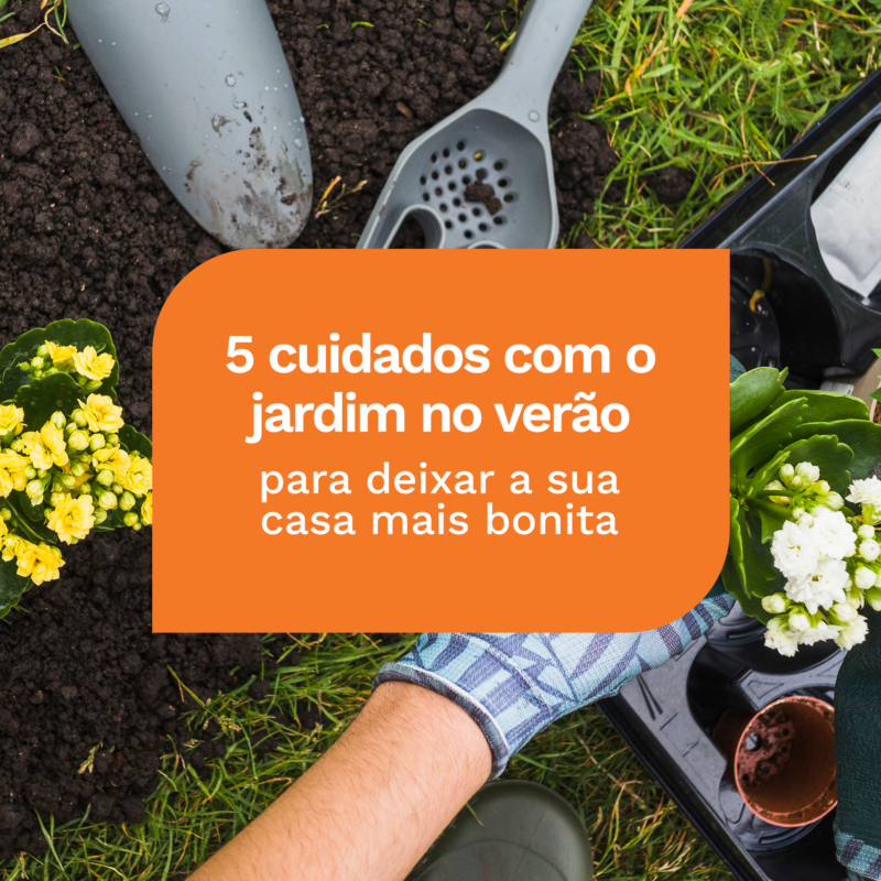 5 cuidados com o jardim no verão para deixar a sua casa mais bonita